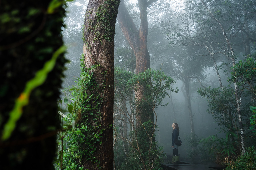 Image result for Khao Yai National Park